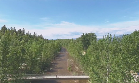 If I Were Tom | Scene 4: Steps Forward